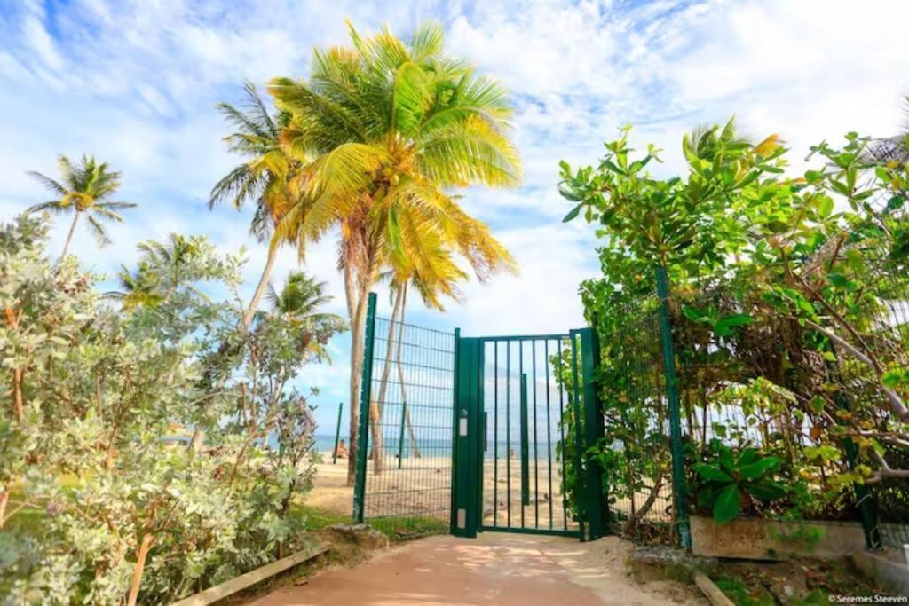 Paradis Studio & Plage A 1 Min Le Gosier  Exteriér fotografie